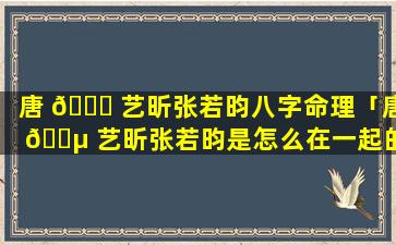 唐 💐 艺昕张若昀八字命理「唐 🌵 艺昕张若昀是怎么在一起的怎么认识的」